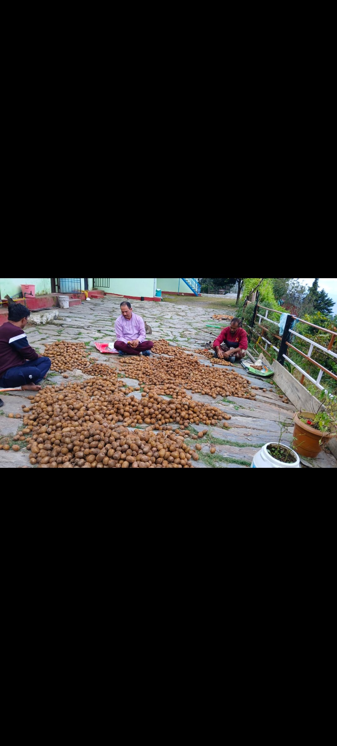 Screenshot_20251112_123428