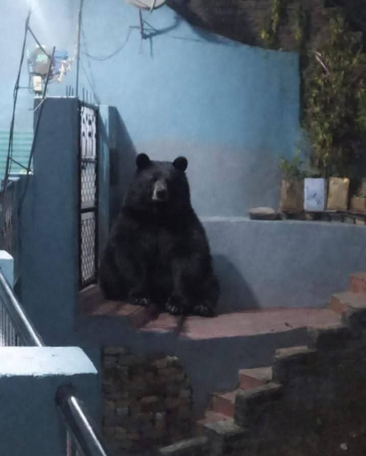 FB_IMG_1767146205204