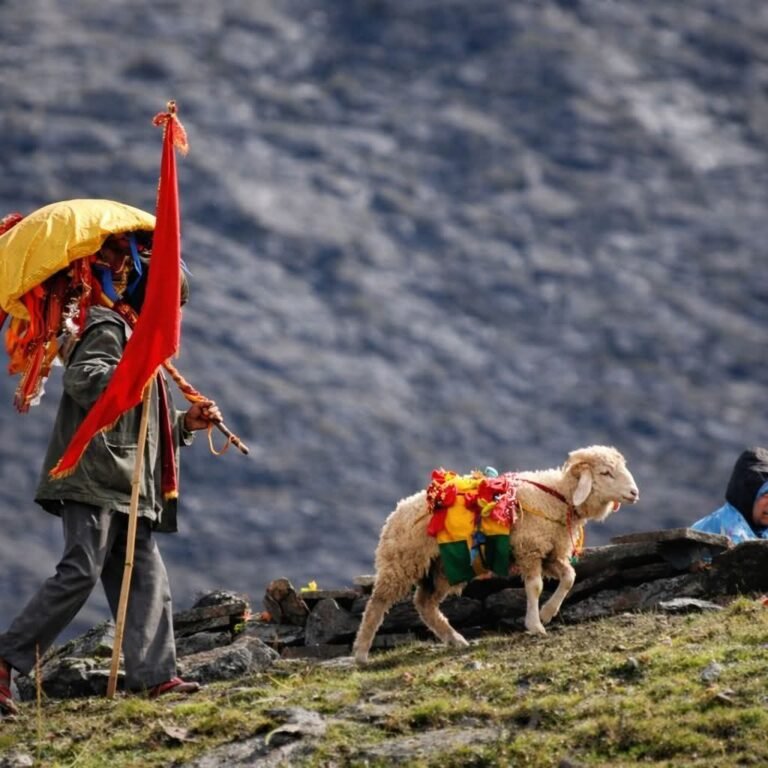 FB_IMG_1768738030779