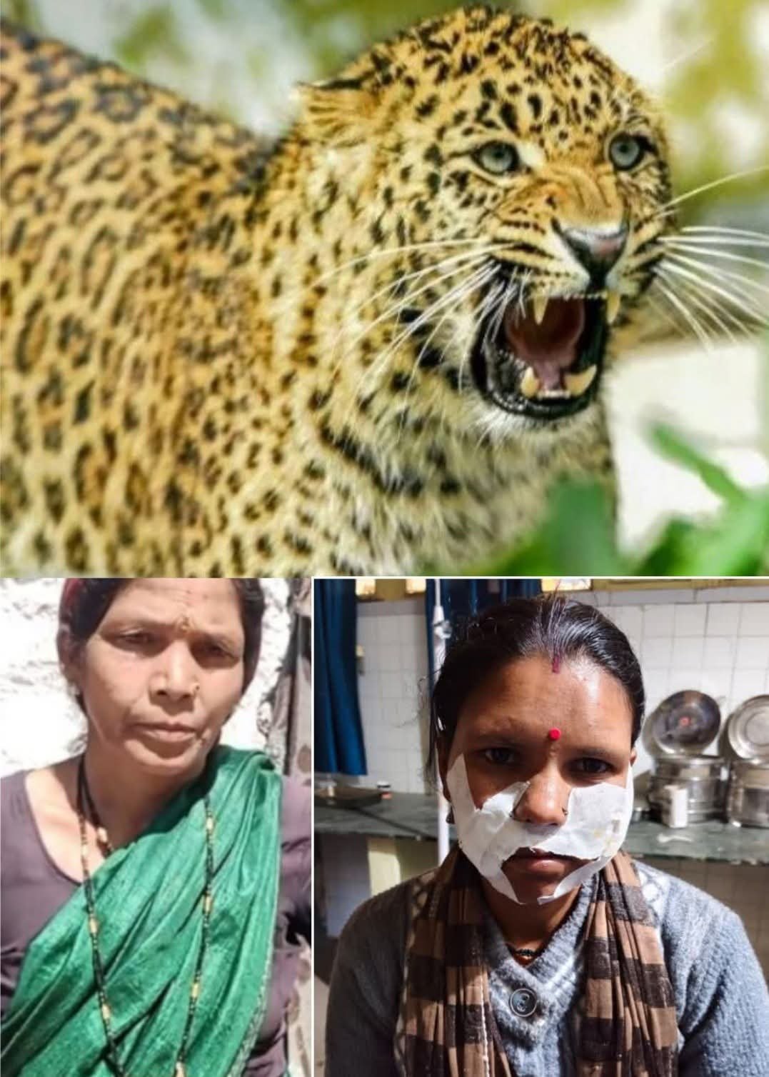 FB_IMG_1774192544608