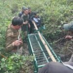 FB_IMG_1774758368471