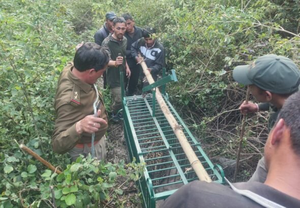 FB_IMG_1774758368471