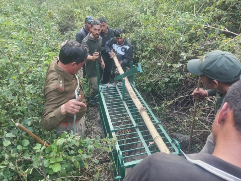 FB_IMG_1774758368471